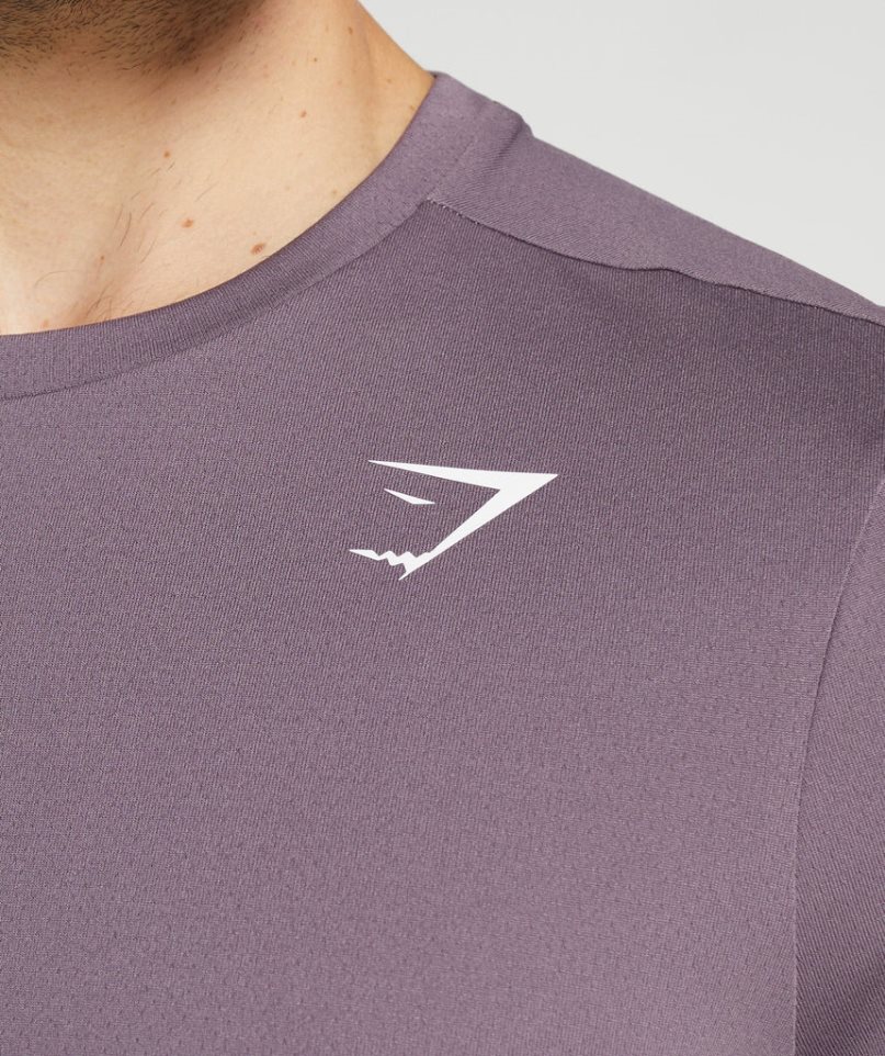 Men's Gymshark Arrival T-Shirts Purple | NZ 2TICMQ